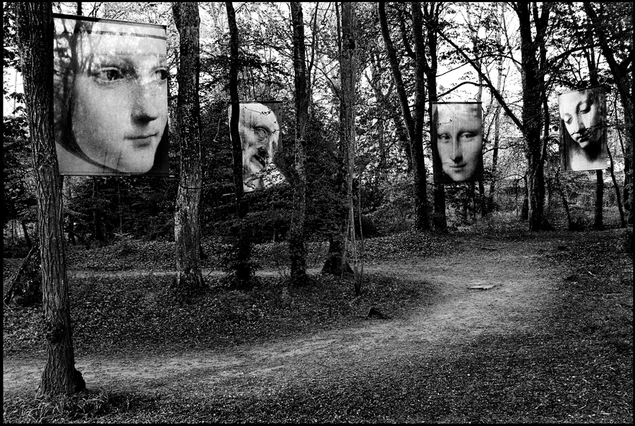 GilioliMauro_Ilboscodeimisteridellascienza_01