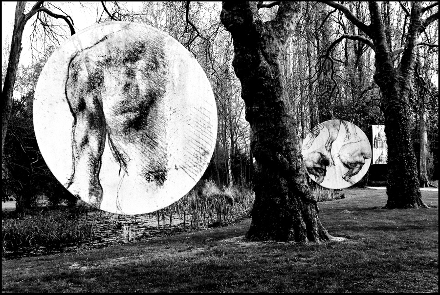 GilioliMauro_Ilboscodeimisteridellascienza_02
