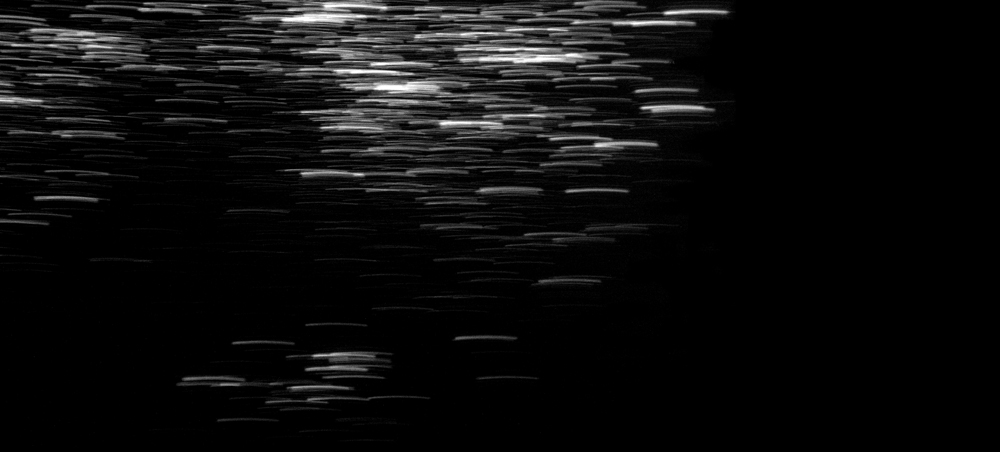 dipotenzamariagrazia_iojonathan_001