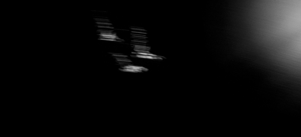 dipotenzamariagrazia_iojonathan_003