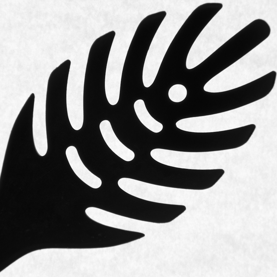 foracchiaelisa_astrazione_003
