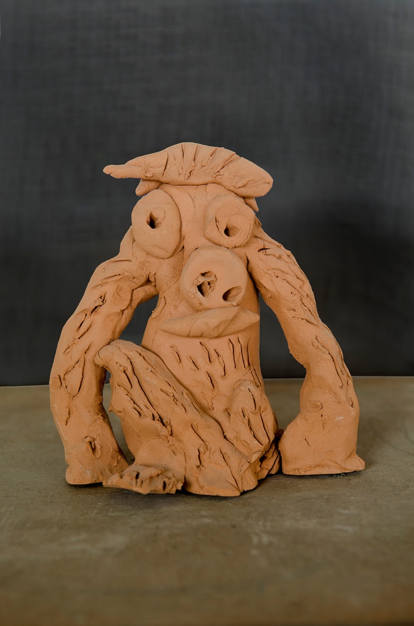 melioliluca_lacava_003