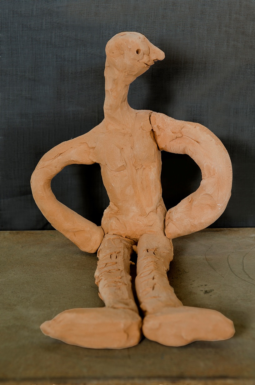 melioliluca_lacava_004