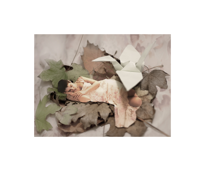 sammartinoarianna_sogno_03