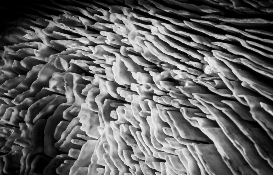 AntonelloZaccaria_Bio-grafica_002