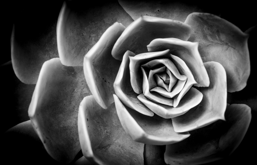 AntonelloZaccaria_Bio-grafica_004