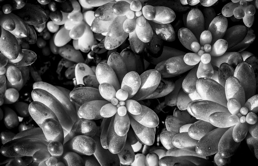 AntonelloZaccaria_Bio-grafica_005