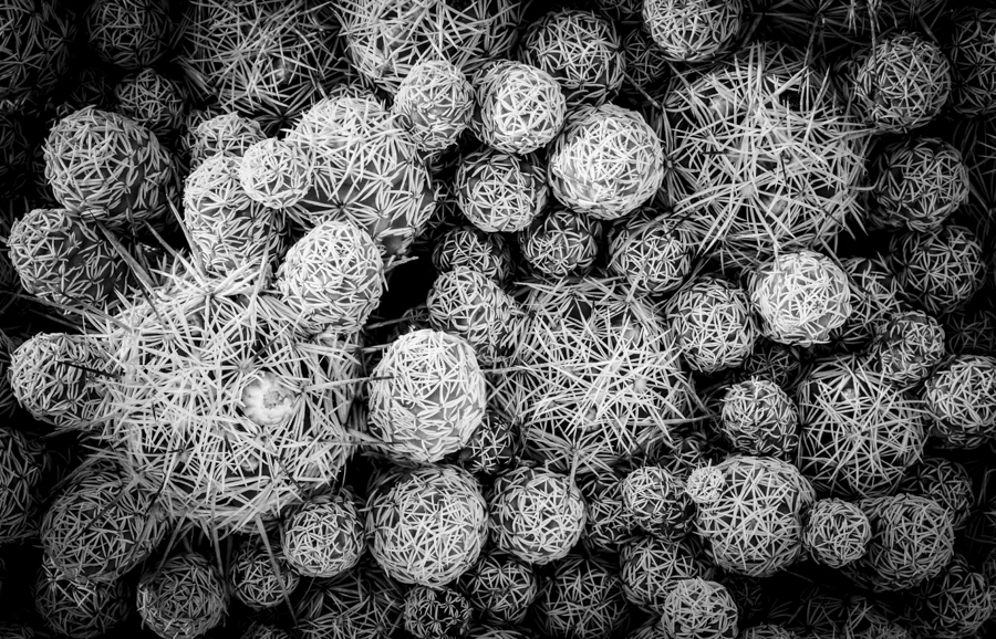 AntonelloZaccaria_Bio-grafica_006