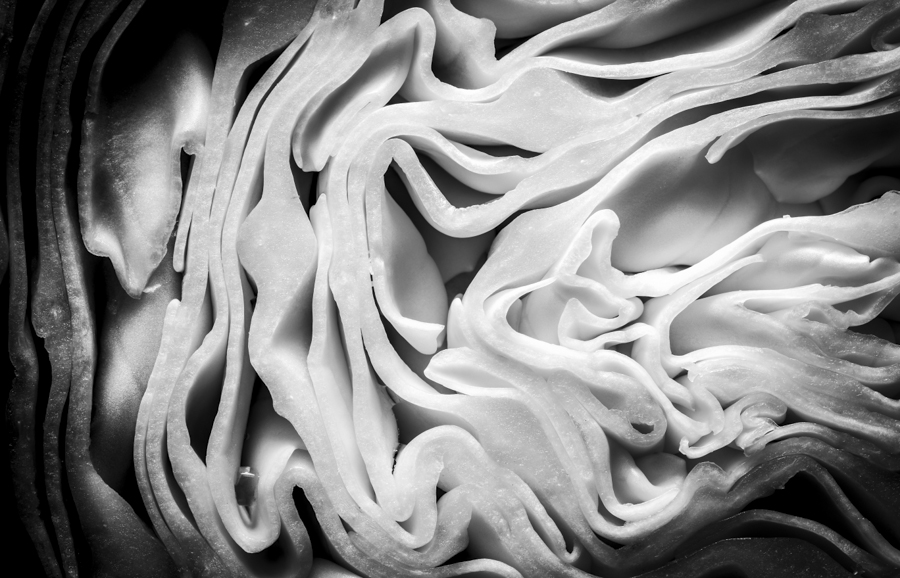 AntonelloZaccaria_Bio-grafica_009
