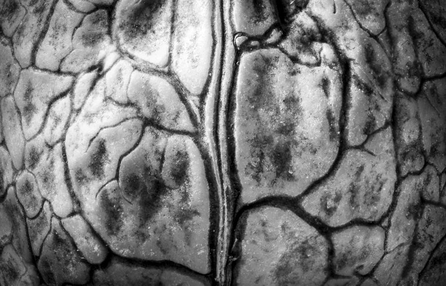 AntonelloZaccaria_Bio-grafica_010