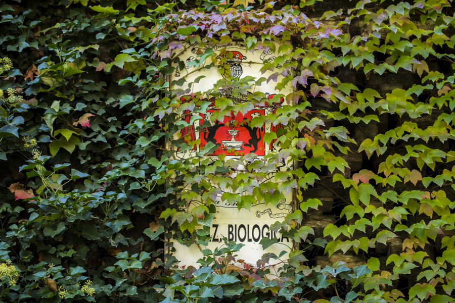 bertaniclaudia_lapiccola_002