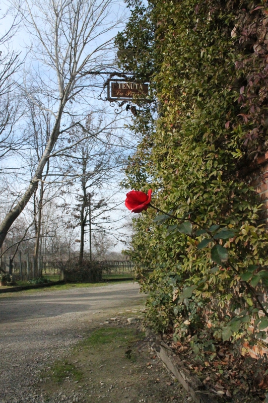 casellibenedetta__vitesospese_001