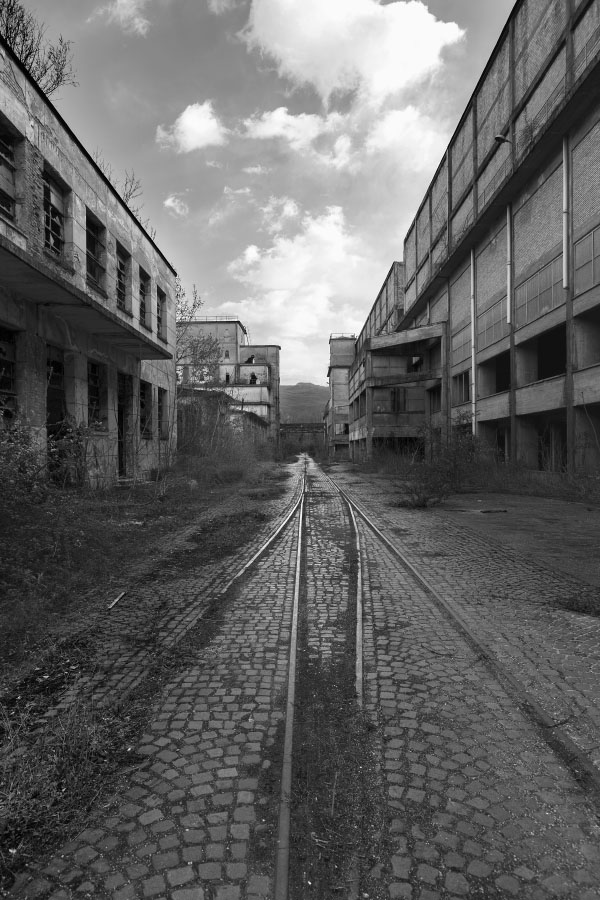Puviani Marcello_1