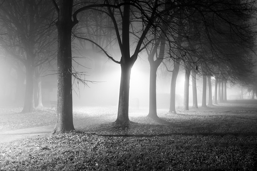 nebbia_off_2016-1