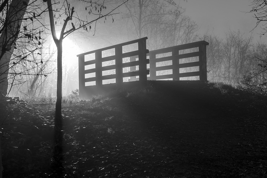 nebbia_off_2016-2