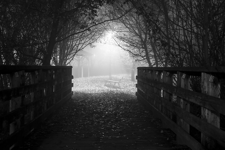 nebbia_off_2016-3
